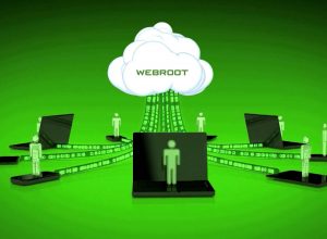Антивирус Webroot