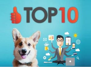 ТОП 10 идей для малого бизнеса 2017