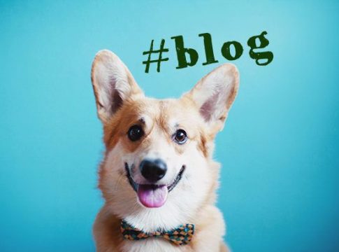 Какие блоги пользуются популярностью