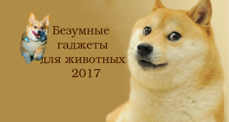 Безумные гаджеты для животных 2017