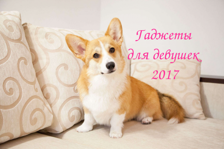 Гаджеты для девушек 2017: полезные устройства для дома и кухни