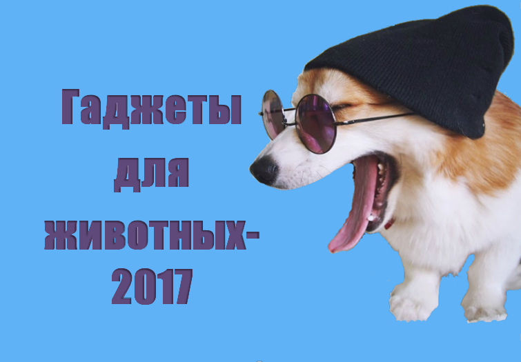 ТОП-12 гаджетов для животных 2017