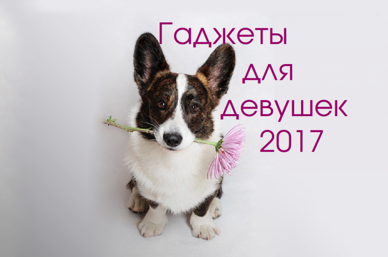 Гаджеты для девушек: лучшие технологические подарки 2017