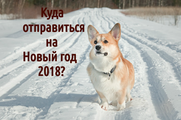 ТОП 10 лучших места для празднования Нового года 2018 в Украине