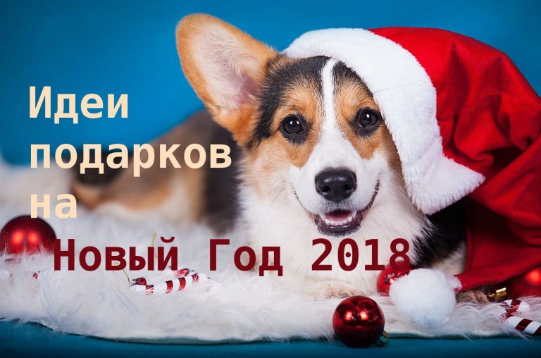 Гаджеты для мужчин: интересные идеи для подарков на Новый год 2018