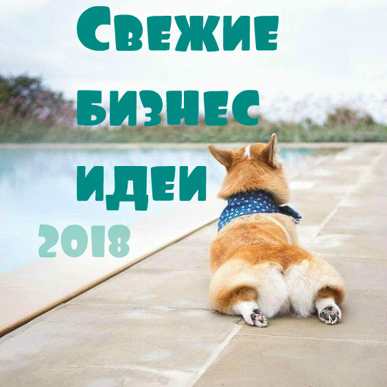 Свежие бизнес идеи 2018