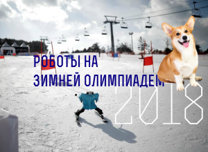 Роботы-лыжники выступили на Зимней Олимпиаде в Пхенчхане