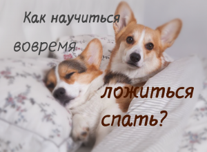 как научиться вовремя ложиться спать