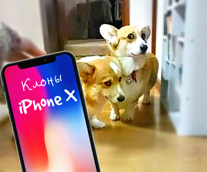 Ожидаемые клоны iPhone X 2018