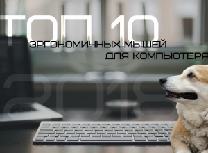 Эргономичные мыши для компьютера 2018