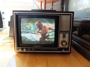 технологии второй половины 20 века: Sony Trinitron