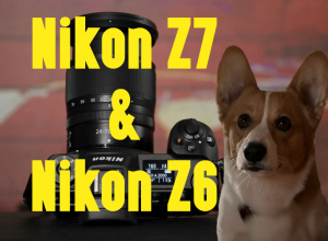 полнокадровые беззеркальные камеры Nikon Z7 и Nikon Z6