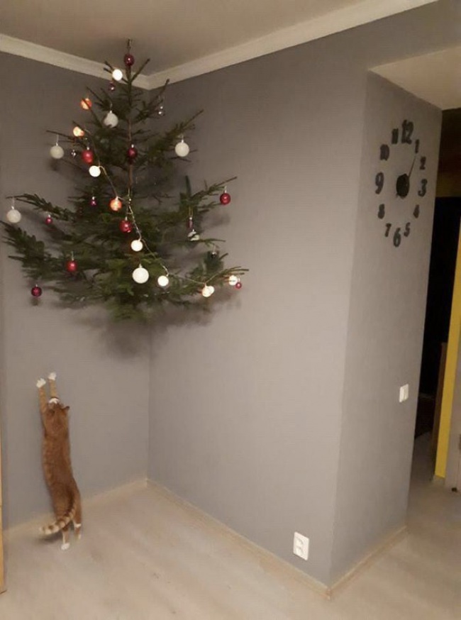 как поставить елку если в доме кот