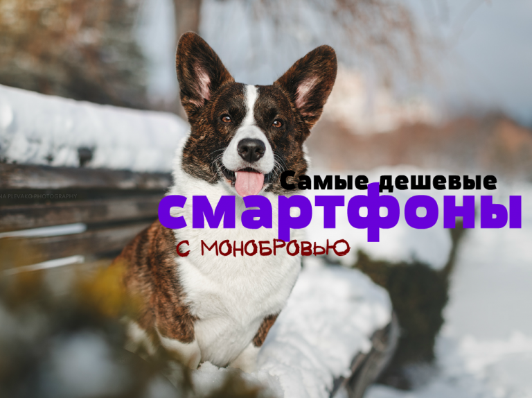 ТОП 10 самых дешевых смартфонов с монобровью