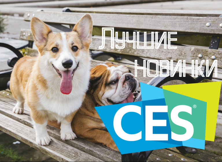 Итоги CES 2019: лучшие технологические новинки