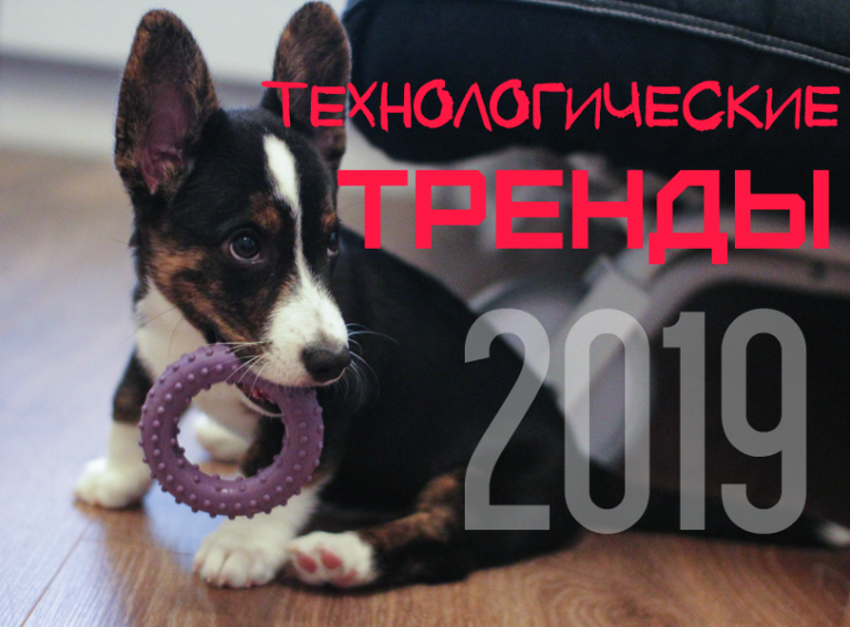 Технологические тренды 2019: чего ждать от новых смартфонов