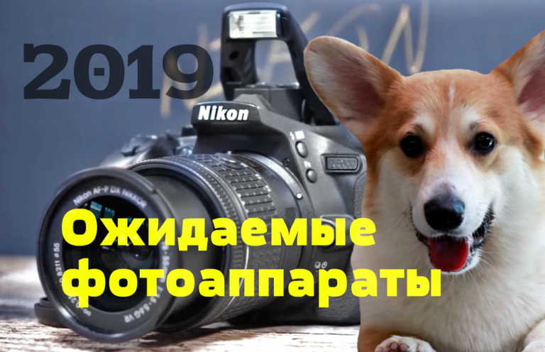 10 ожидаемых фотоаппаратов 2019