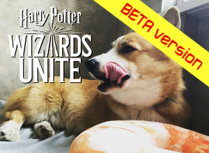 Скачать игру Harry Potter: Wizards Unite
