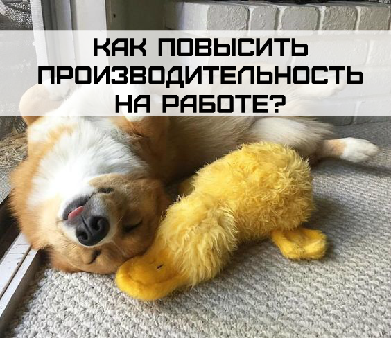 Лайфхаки на каждый день: 5 советов как повысить производительность на работе