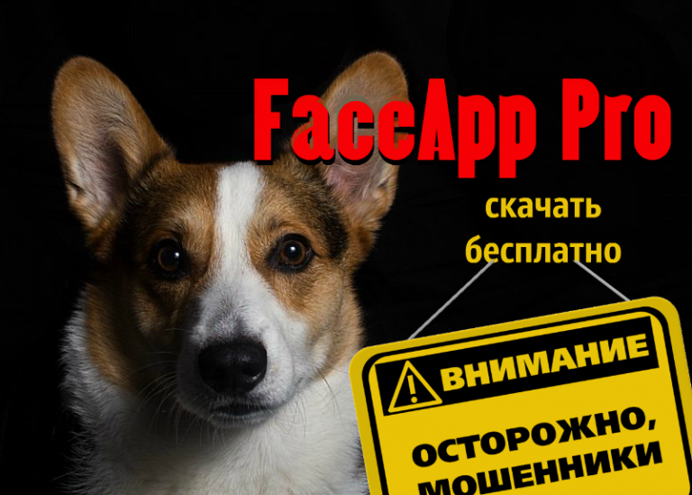 “FaceApp Pro скачать бесплатно” — новая возможность для мошенничества