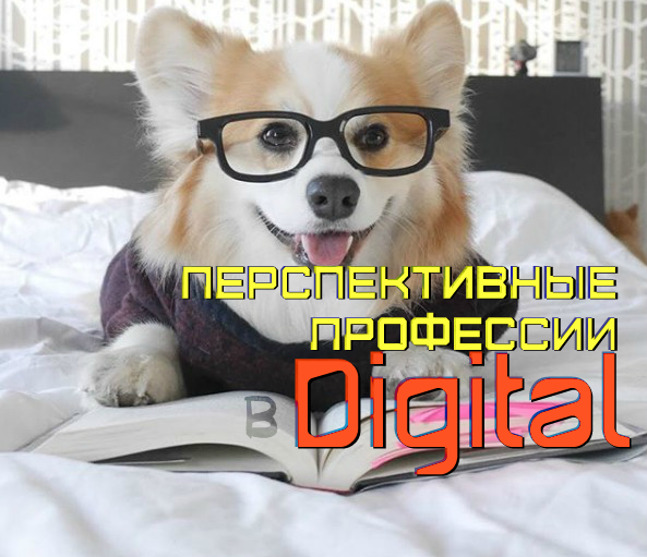 Бизнес-идеи 2019: перспективные профессии в Digital