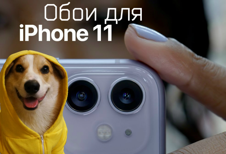 Лайфхаки для телефонов: оригинальные обои iPhone 11