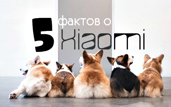 5 интересных фактов о Xiaomi