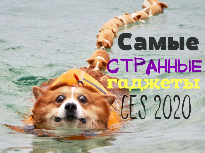 10 самых странных гаджетов CES 2020