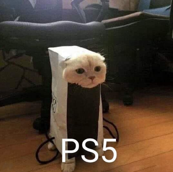 мемы про PlayStation 5