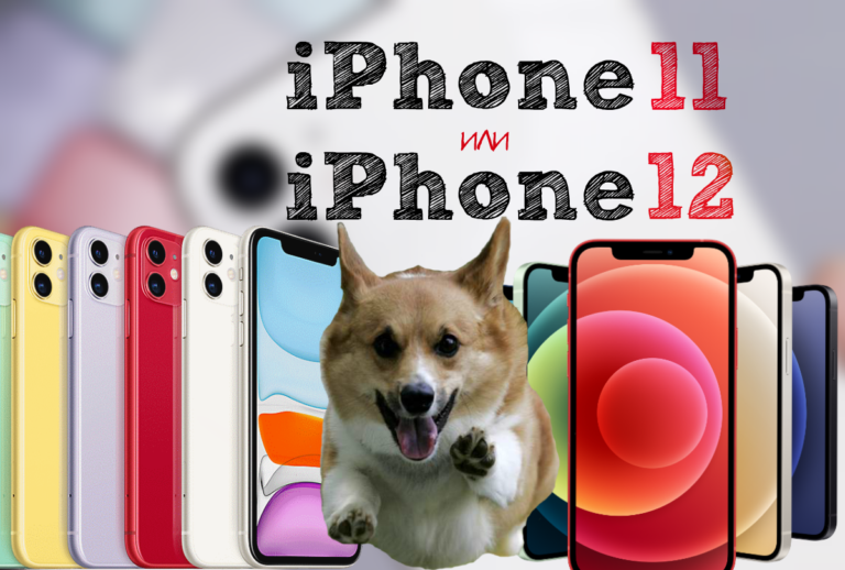iPhone 12 или iPhone 11