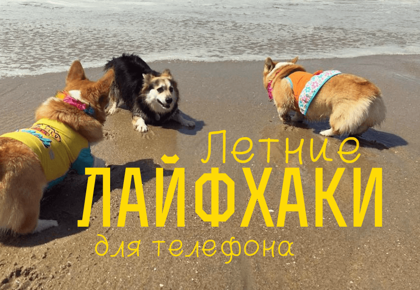 что делать с телефоном на пляже. Смотреть фото что делать с телефоном на пляже. Смотреть картинку что делать с телефоном на пляже. Картинка про что делать с телефоном на пляже. Фото что делать с телефоном на пляже