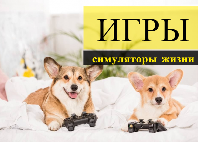 10 интересных игр в жанре симулятор жизни