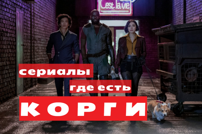 ТОП 6 сериалов с корги