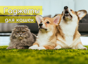 гаджеты для кошек
