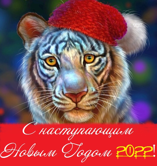 поздравление от символа года тигра