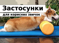 українські додатки