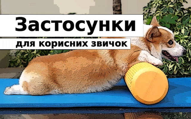 українські додатки