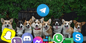 Чим замінити Telegram