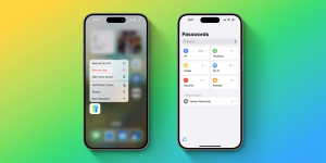 passwords app ios18