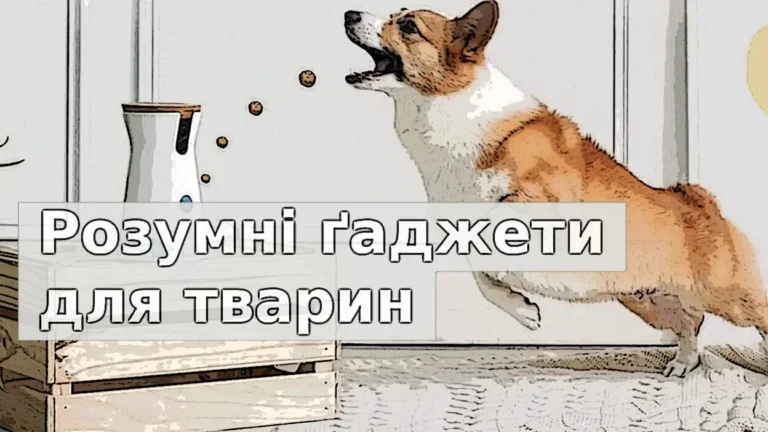 5 розумних ґаджетів для тварин: комфорт і турбота на новому рівні